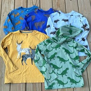 Lot of 5 Tea Collection Long Sleeve Tees